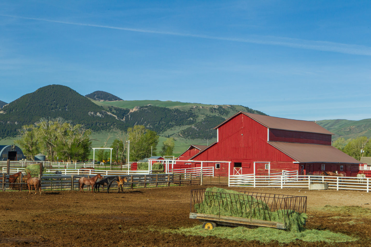 BEAVERHEAD RANCH SALE USHERS IN A NEW ERA OF AGRICULTURAL STEWARDSHIP ...